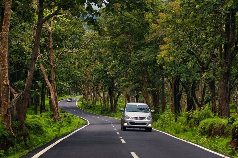 Bangalore - Mysore - Ooty - Kodaikanal (08 NIGHTS / 09 DAYS)